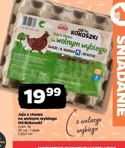 Netto Jaja z chowu na wolnym wybiegu Od Kokoszki oferta