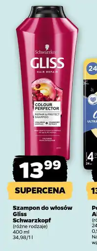 Netto Szampon do włosów Gliss Schwarzkopf oferta