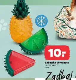Netto Zabawka chłodząca oferta
