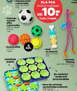 Netto Zabawki dla psa oferta