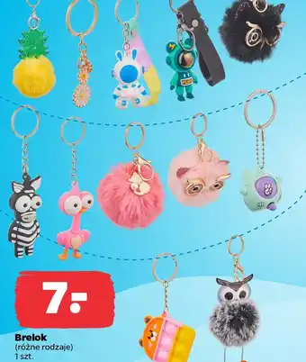 Netto Brelok oferta