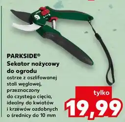 Kaufland Sekator ogrodowy nożycowy Parkside oferta
