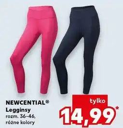 Kaufland Legginsy damskie 36-46 Newcential oferta