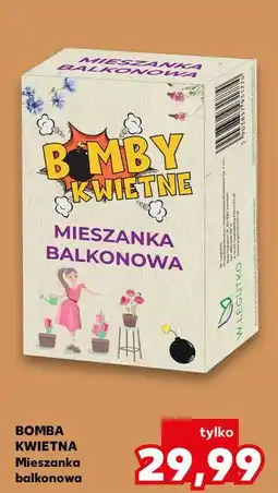 Kaufland Bomba kwietna W. Legutko oferta