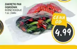 Słoneczko Zakrętki Pan Ogrodnik oferta