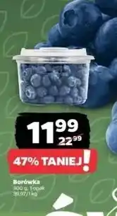 Netto Borówki amerykańskie oferta