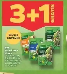 Netto Włoski Knorr Sos Sałatkowy oferta
