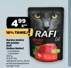 Netto Karma dla kota z łososiem Rafi Cat oferta