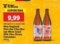 Lidl Browar Stu Mostów New England Pale Ale Citra Bru lub West Coast IPA Citra Strata Columbus oferta
