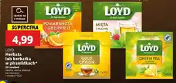 Lidl LOYD Herbata lub herbatka w piramidkach oferta