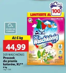 Lidl DER WASCHKÖNIG Proszek do prania kolorów, XL oferta