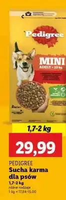 Lidl PEDIGREE Sucha karma dla psów oferta