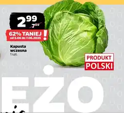 Netto Kapusta Polski oferta