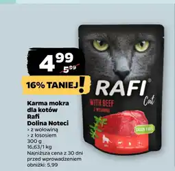 Netto Mokra karma dla kota Rafi oferta