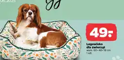 Netto Legowisko dla zwierząt oferta