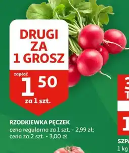 Rzodkiewka pęczek