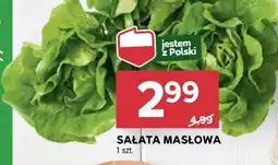 Stokrotka Market Sałata masłowa oferta
