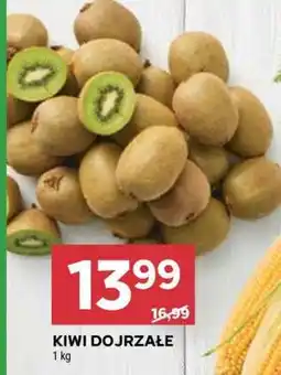 KIWI DOJRZAŁE