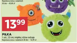 Stokrotka Market Piłka oferta