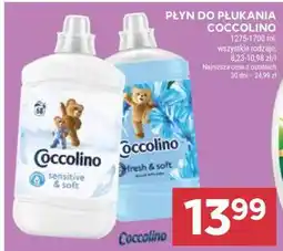 Stokrotka Market Płyn do płukania Coccolino oferta