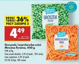 Biedronka Groszek/ marchewka mini Mroźna Kraina, 450 g oferta