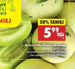 Biedronka Melon Little Planet na wage oferta