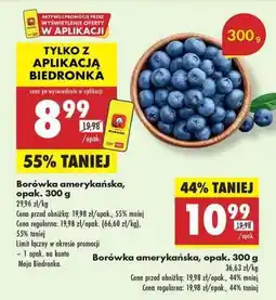 Biedronka Borówka amerykańska opak 300 g oferta