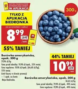 Biedronka Borówka amerykańska 300g oferta