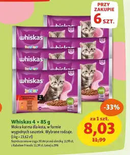 Maxi Zoo Mokra karma dla kota Whiskas oferta