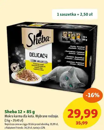 Maxi Zoo Mokra karma dla kota Sheba oferta