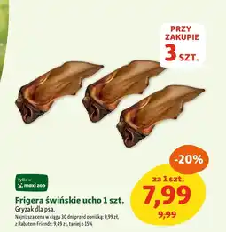 Maxi Zoo Gryzak dla psa Friends oferta