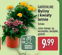 ALDI Byliny Gardenline oferta