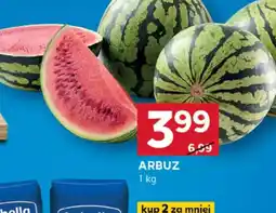 Stokrotka Optima Arbuz oferta