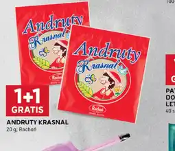 Stokrotka Optima Andruty Krasnal oferta