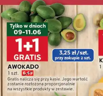 Stokrotka Optima Awokado oferta