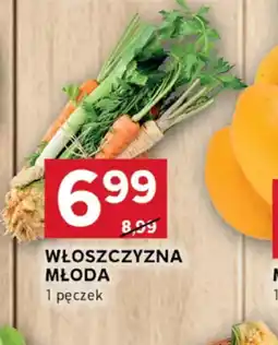 Stokrotka Optima Włoszczyzna młoda oferta