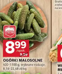 Stokrotka Optima Ogórki małosolne oferta
