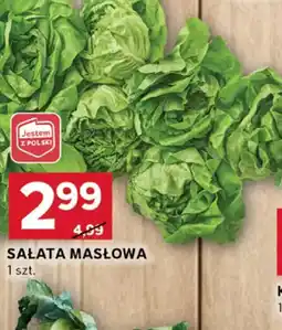 Stokrotka Optima Sałata masłowa oferta
