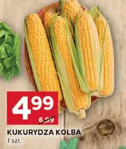 Stokrotka Optima Kukurydza kolba oferta