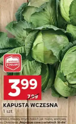 Stokrotka Optima Kapusta wczesna oferta