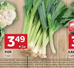 Stokrotka Optima Por oferta