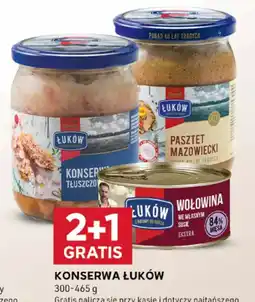 Stokrotka Optima Konserwa Luków oferta