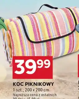 Stokrotka Optima Koc piknikowy oferta