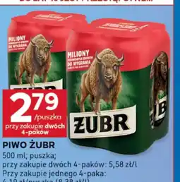 Stokrotka Optima Piwo Zubr oferta