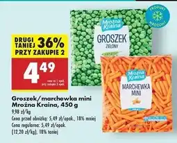 Biedronka Marchewka mini Mroźna Kraina oferta