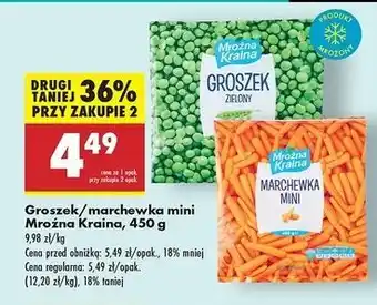 Biedronka Marchewka mini Mroźna Kraina oferta