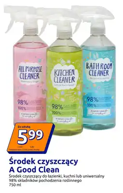 Action Środek czyszczący A Good Clean oferta