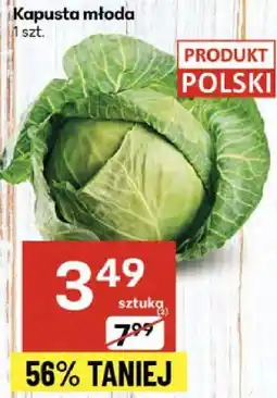 Delikatesy Centrum Kapusta młoda 1 szt. Delikatesy Centrum oferta