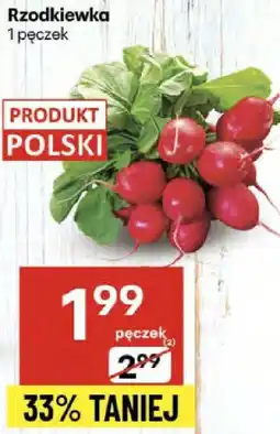 Delikatesy Centrum Rzodkiewka 1 pęczek Delikatesy Centrum oferta
