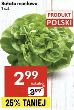 Delikatesy Centrum Sałata masłowa 1 szt. Delikatesy Centrum oferta